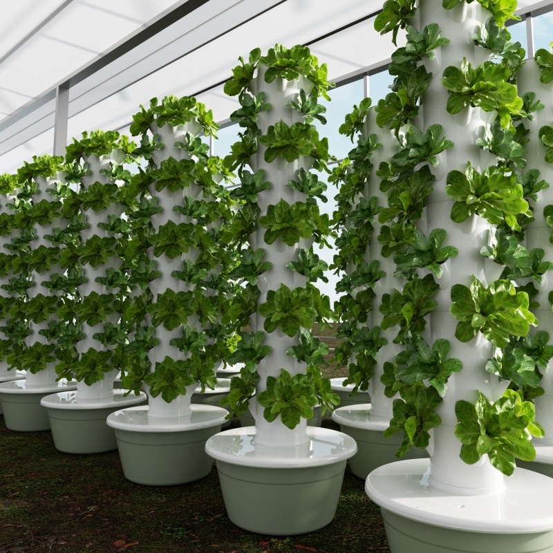 Smart Garden Greenhouse - 2024 Akıllı Düşük Maliyetli Sera Dikey