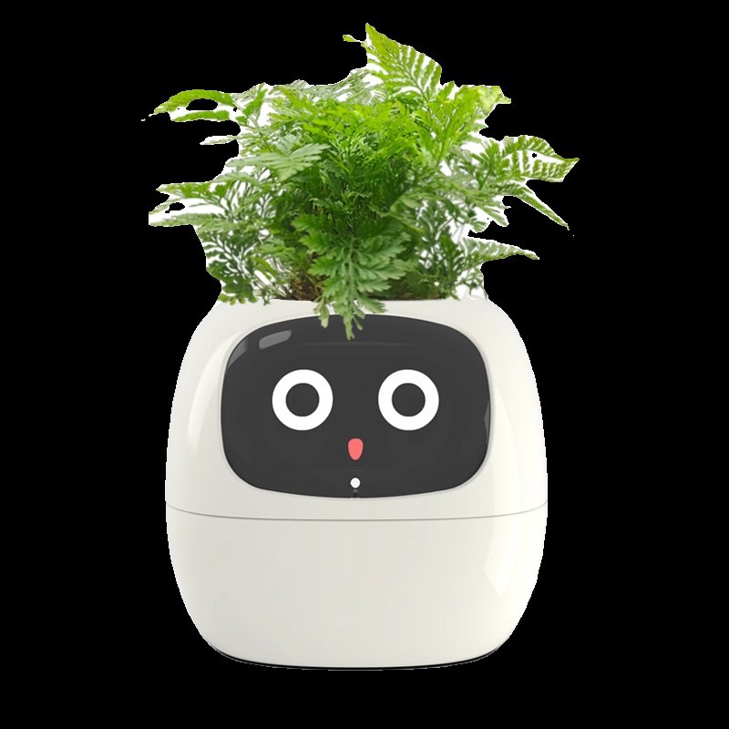 Sensörlü Akıllı Mimi Saksı Yüz - Self Watering Pot Sensor incelemesi ve fiyatı