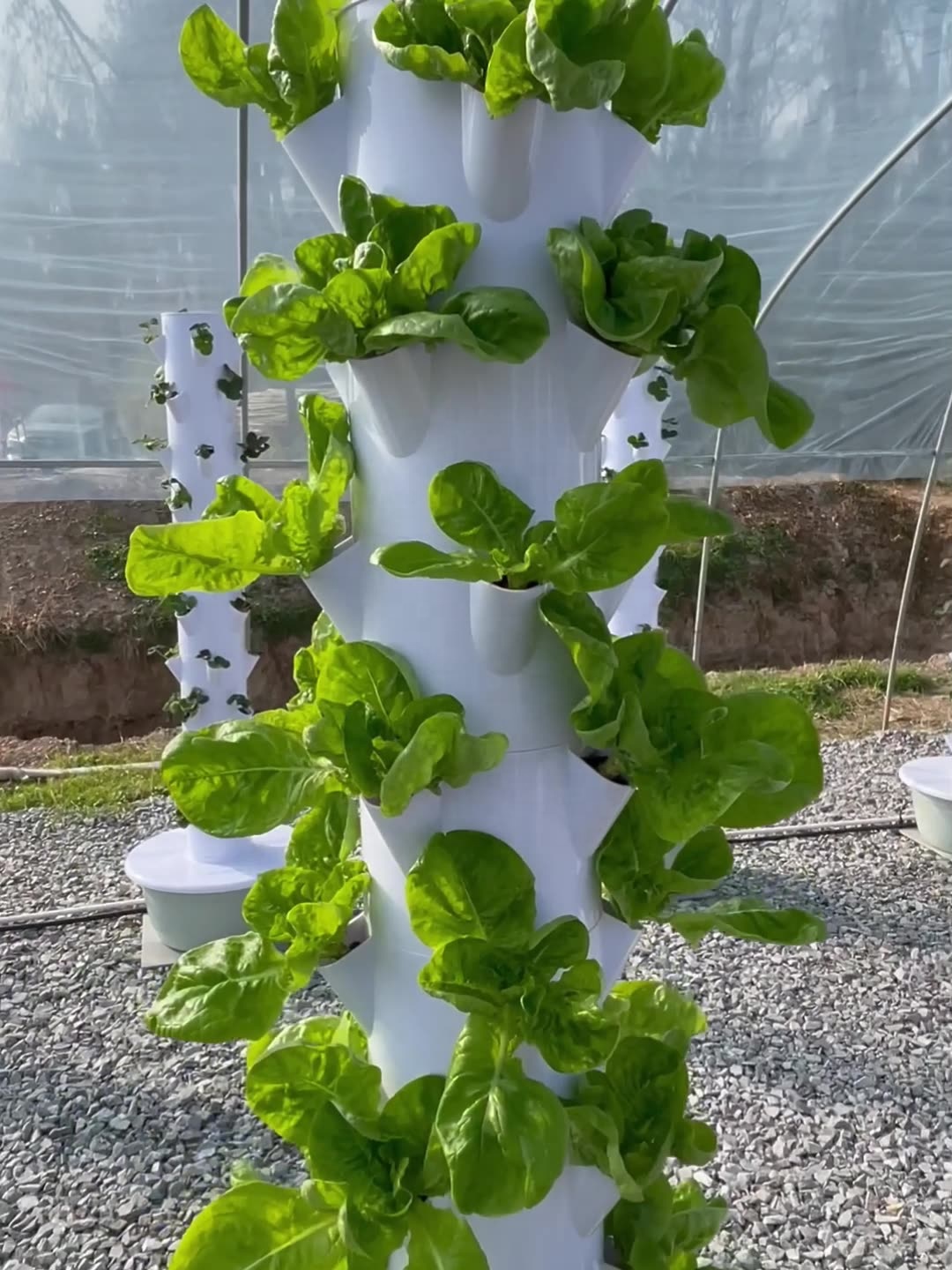 2024 Akıllı Düşük Maliyetli Se - Smart Garden Greenhouse incelemesi ve fiyatı