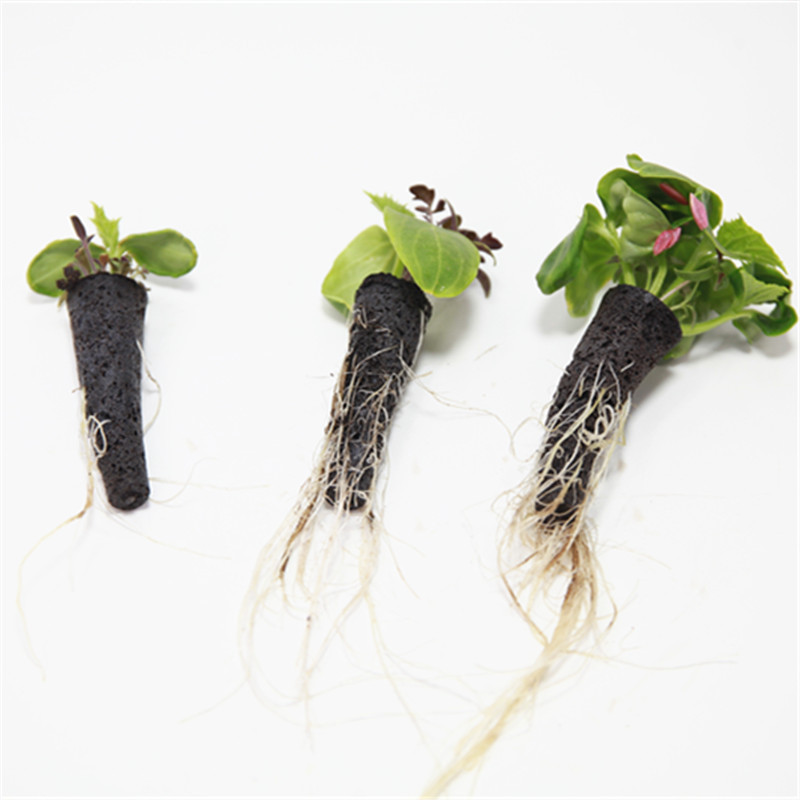 50/100 adet Bitki Aerogarden B - Aerogarden Seed Pod incelemesi ve fiyatı