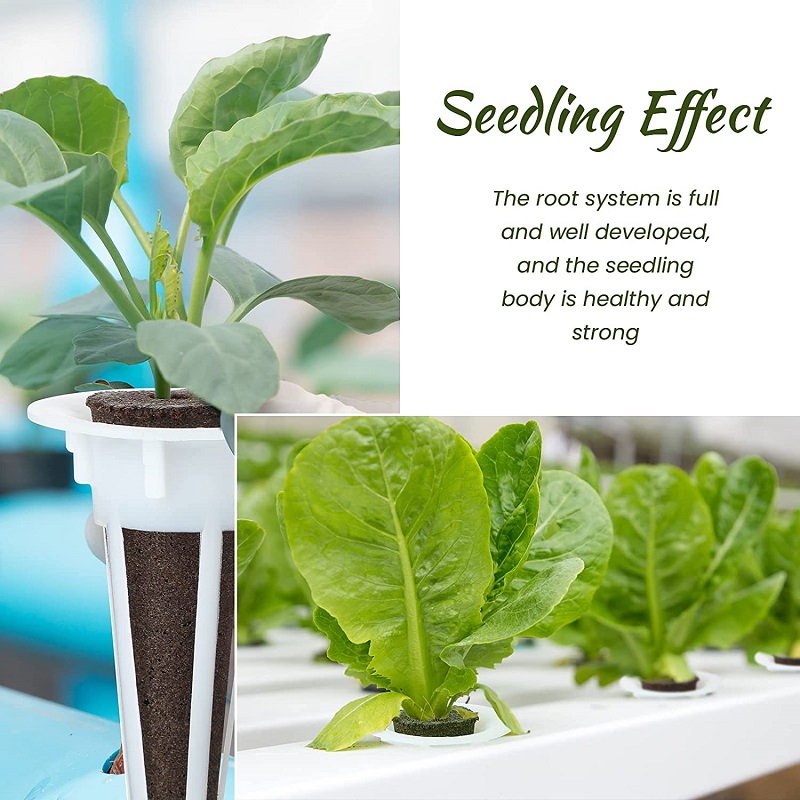 50/100 adet Bitki Aerogarden B - Aerogarden Seed Pod incelemesi ve fiyatı