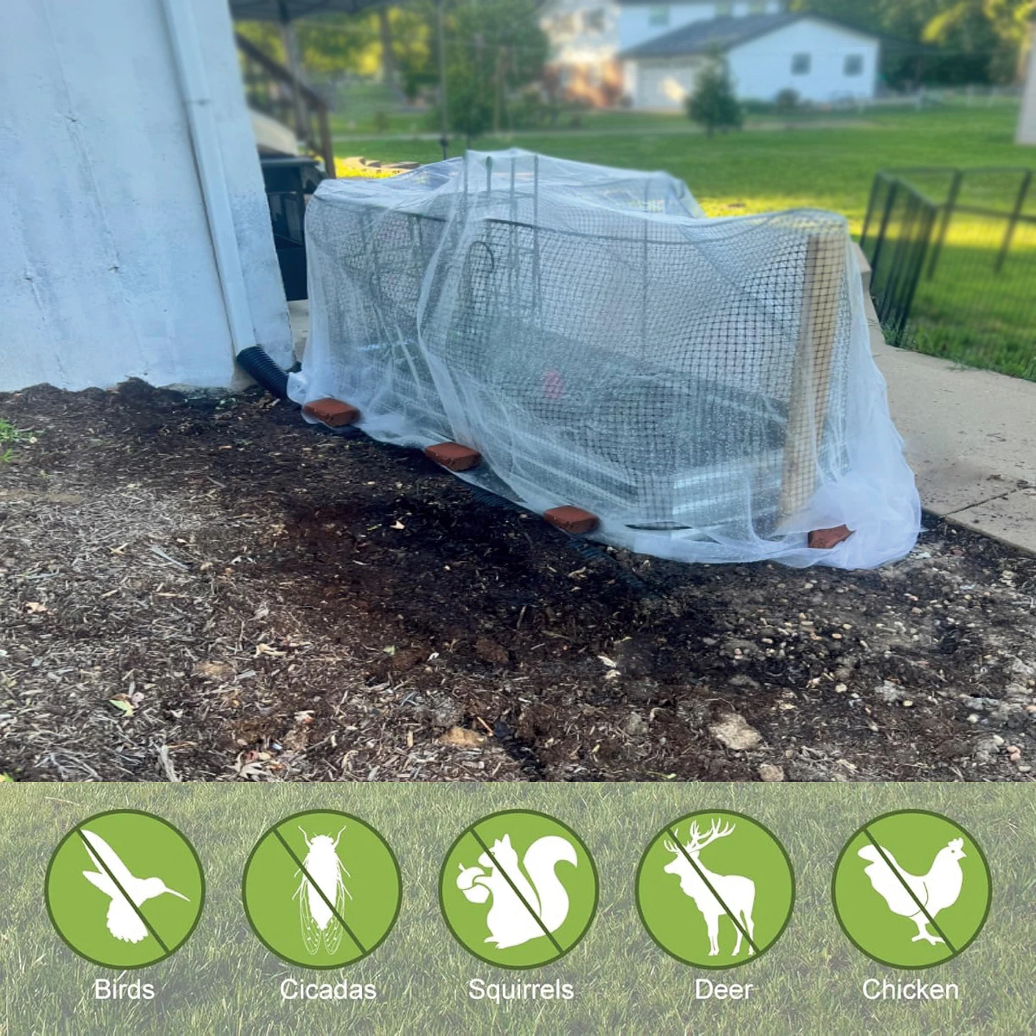 Böcek Koruma Ağı Bahçe Bitkisi - Smart Garden Greenhouse incelemesi ve fiyatı